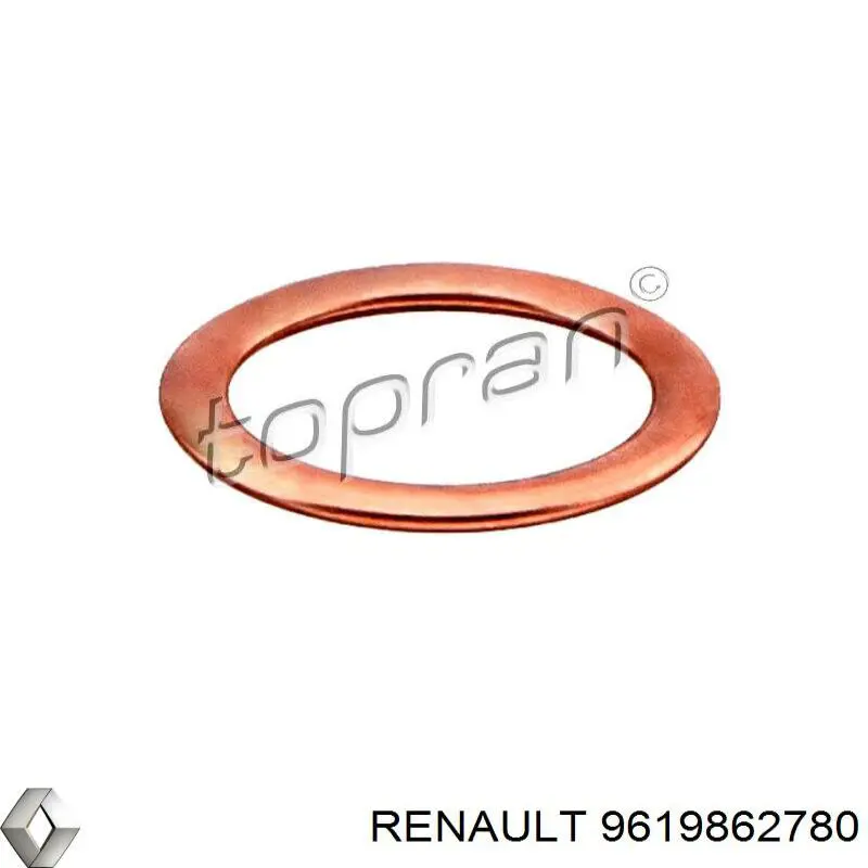 Прокладка пробки поддона Renault (RVI) 9619862780