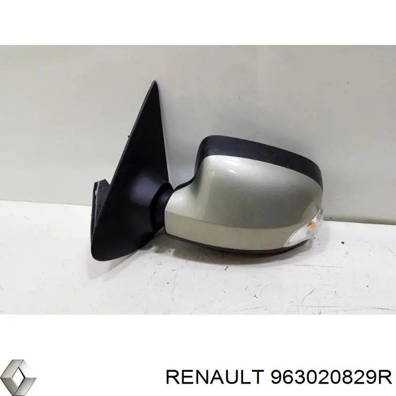 963020829R Renault (RVI) espelho de retrovisão esquerdo