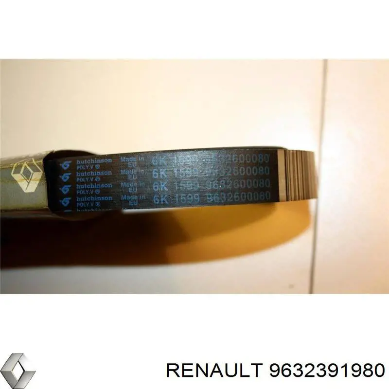 9632391980 Renault (RVI)