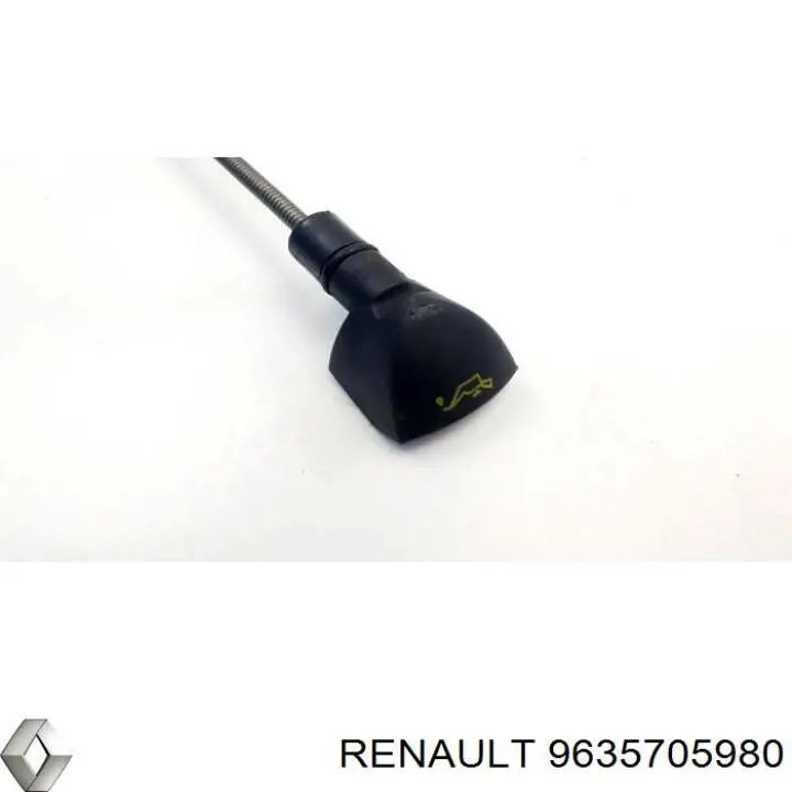 9635705980 Renault (RVI) 