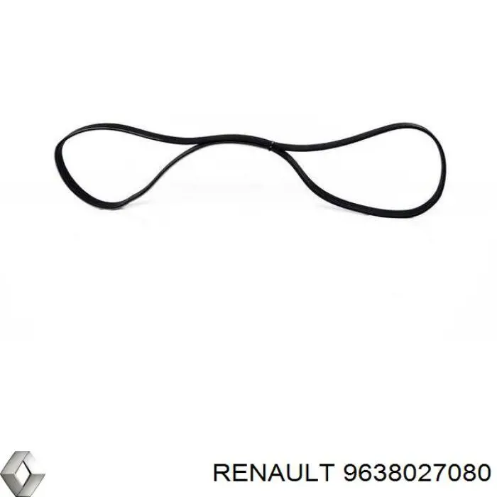 9638027080 Renault (RVI)