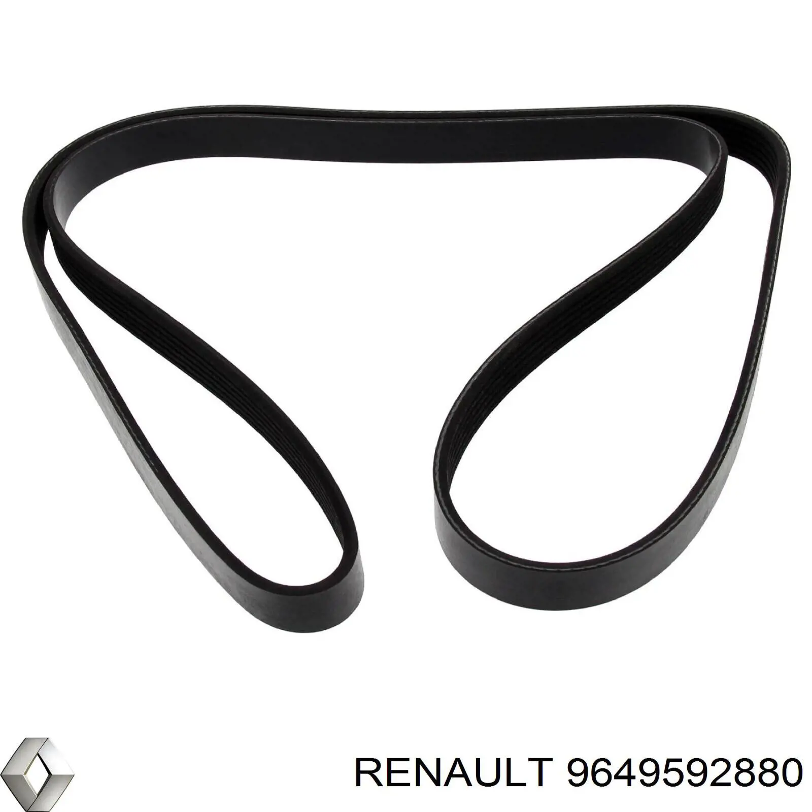 9649592880 Renault (RVI)