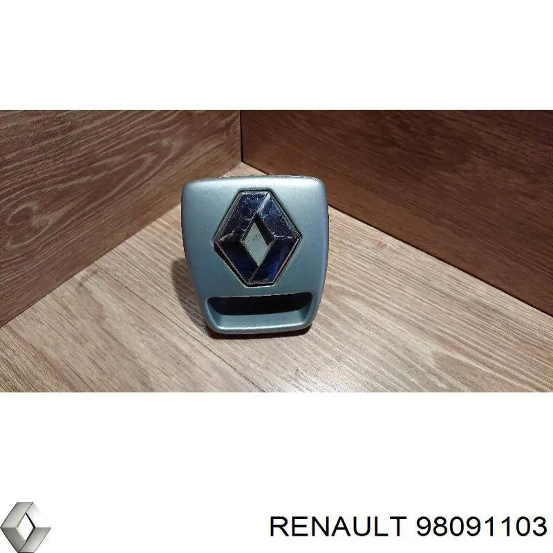 Купить 98091103 Renault (RVI) 