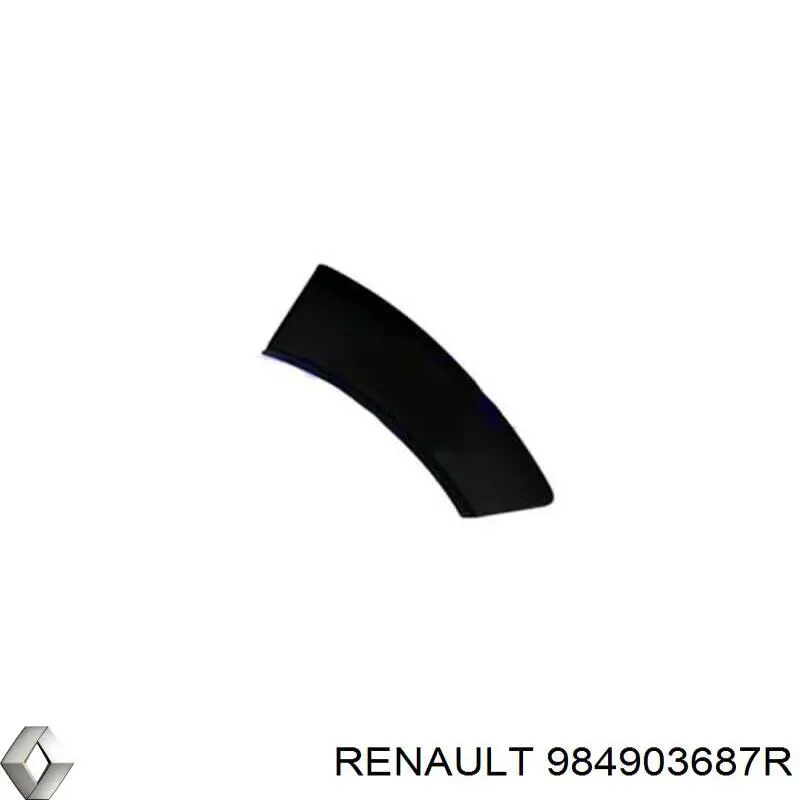 984903687R Renault (RVI)