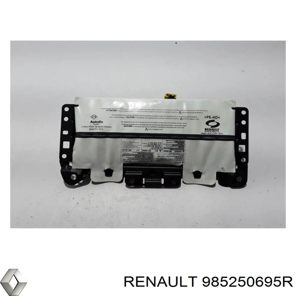 985250695R Renault (RVI) 