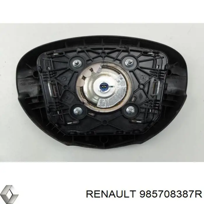  985708387R Renault (RVI)