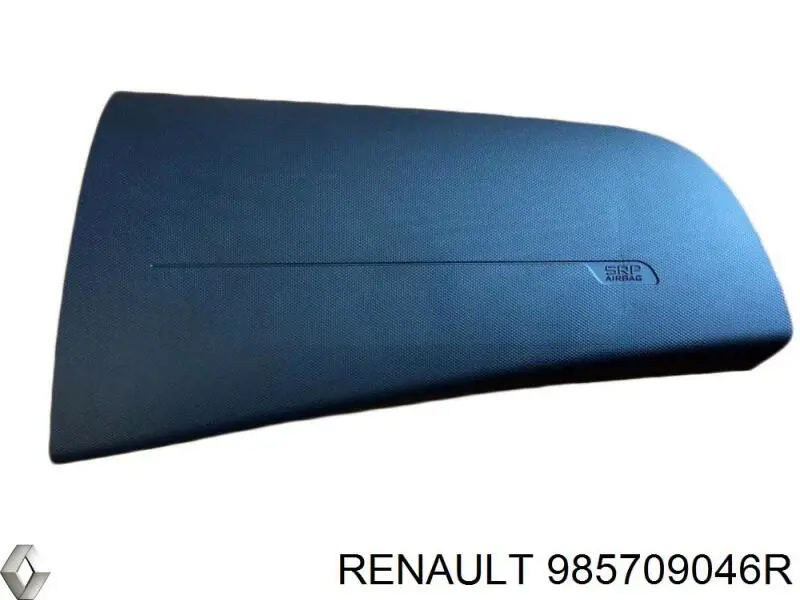  985709046R Renault (RVI)