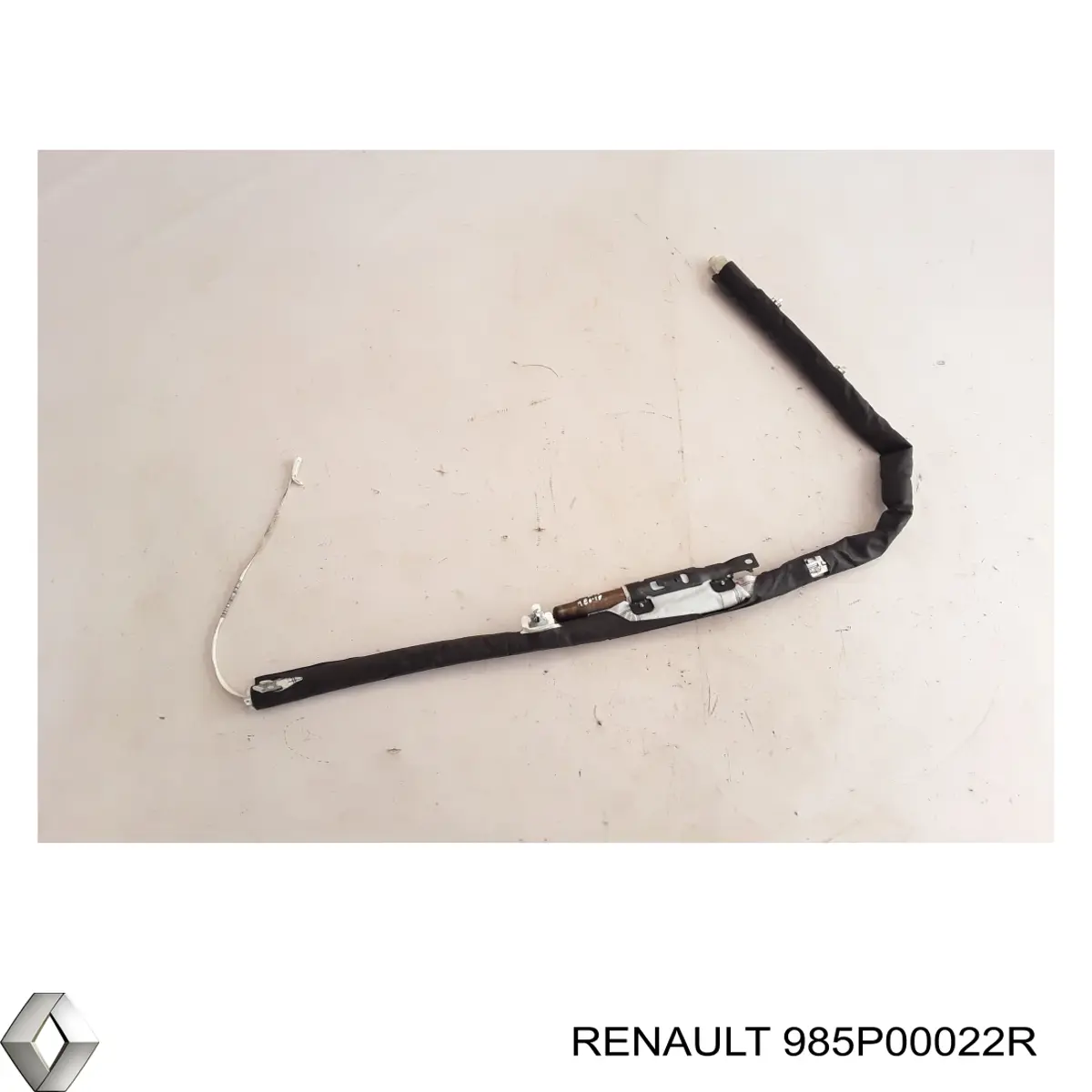 985P00022R Renault (RVI)