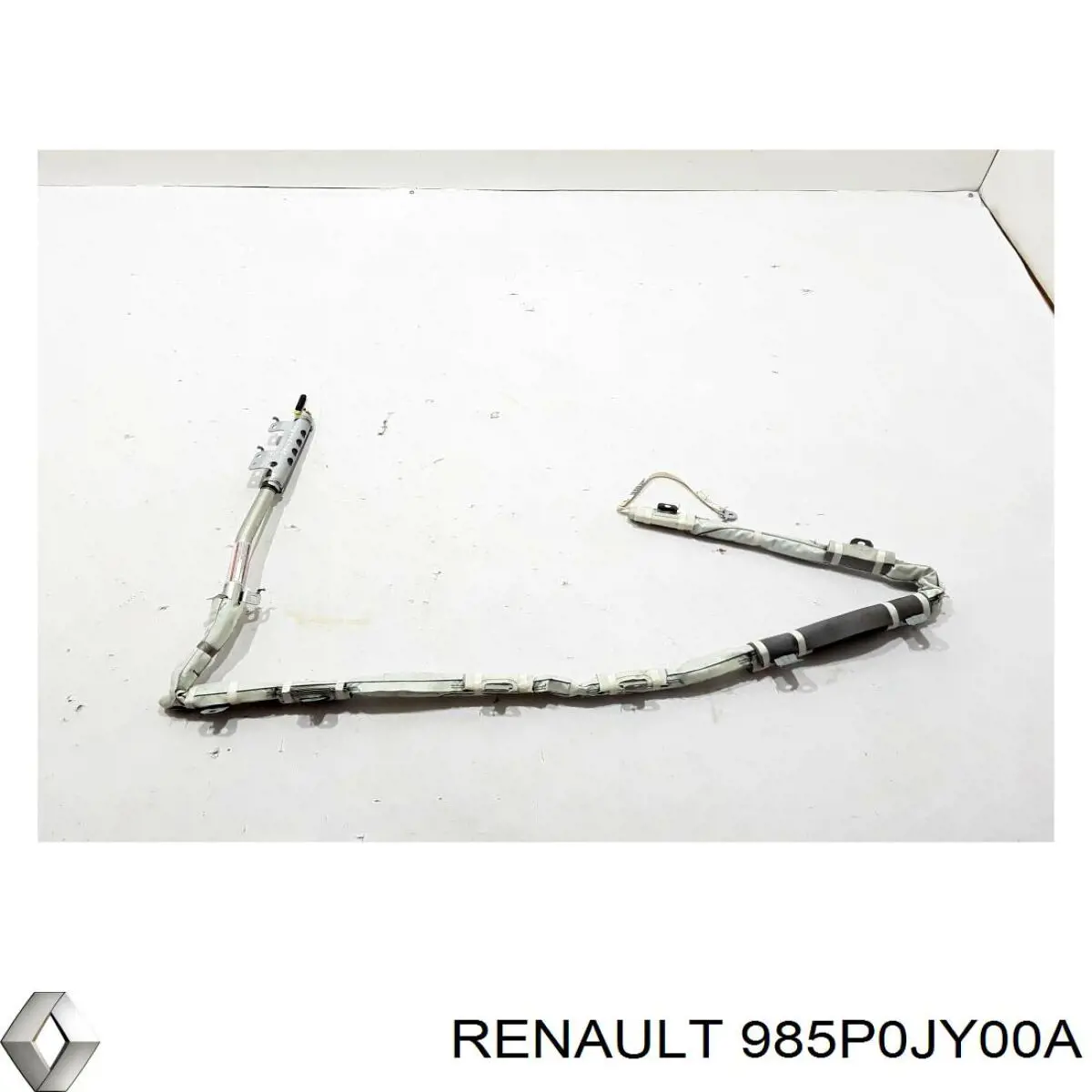 985P0JY00A Renault (RVI) 