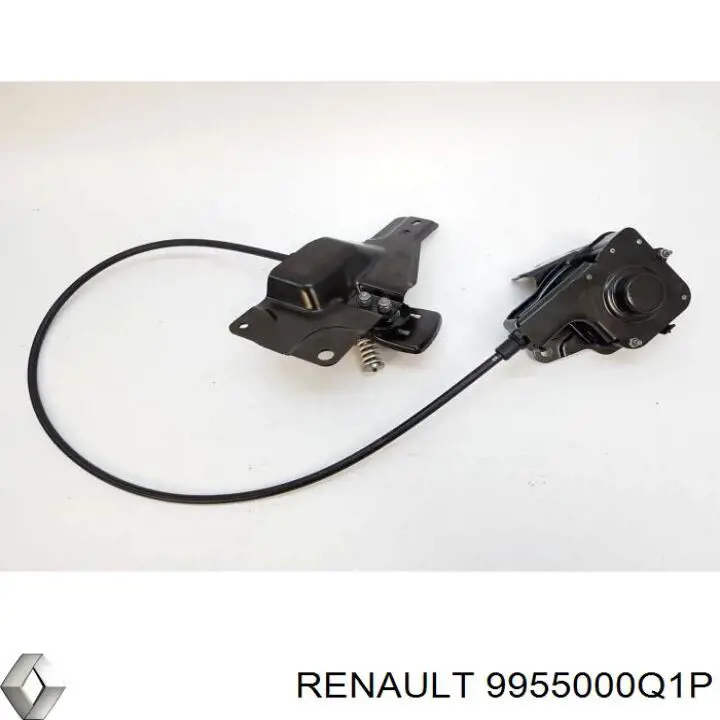  9955000Q1P Renault (RVI)