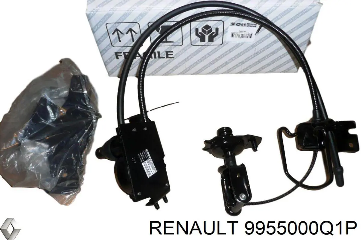 9955000Q1P Renault (RVI) 