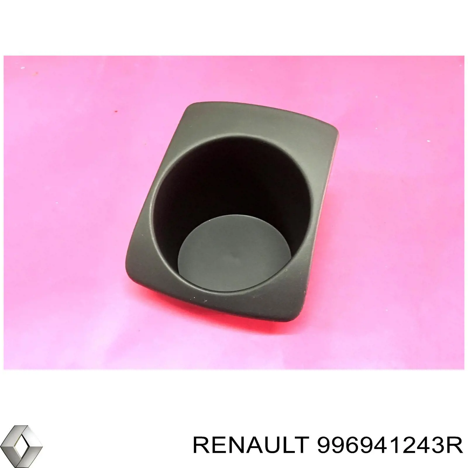 996941243R Renault (RVI) 