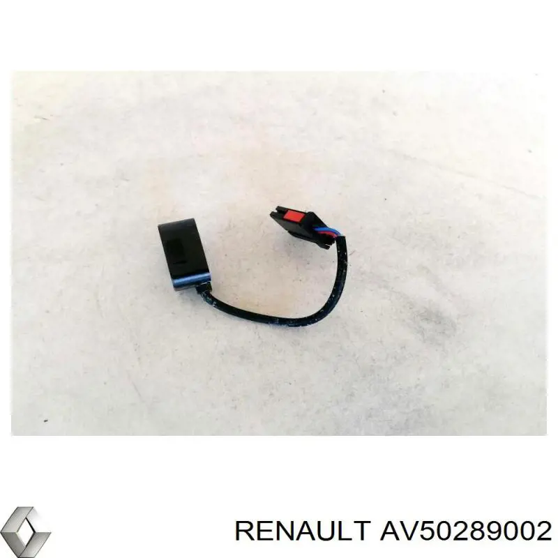  AV50289002 Renault (RVI)