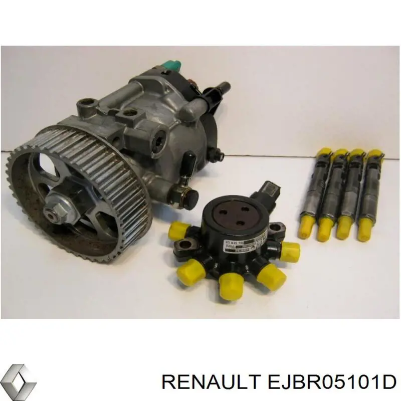 EJBR05101D Renault (RVI) injetor de injeção de combustível