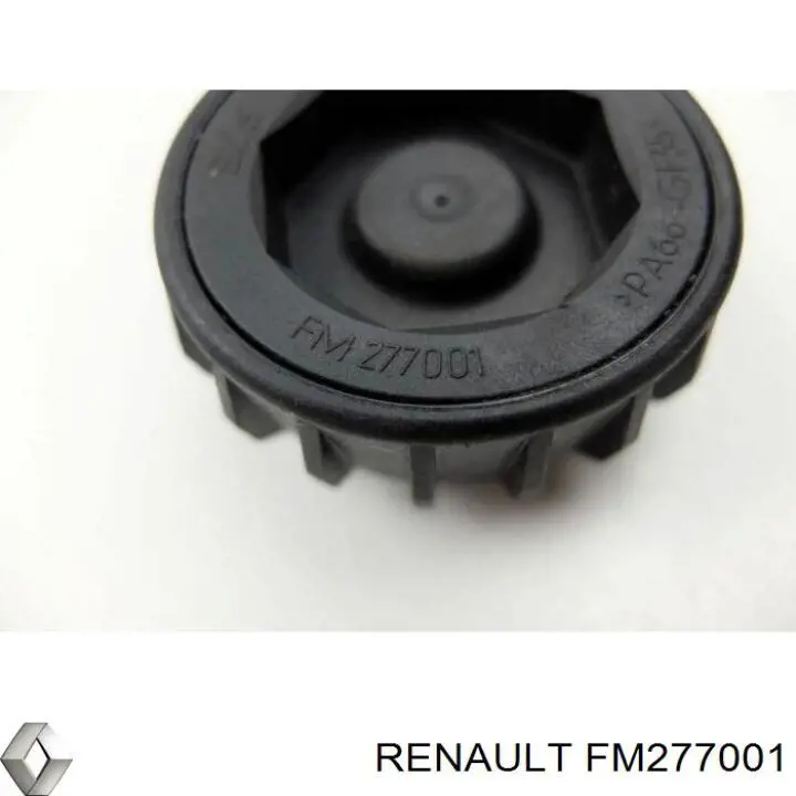  FM277001 Renault (RVI)