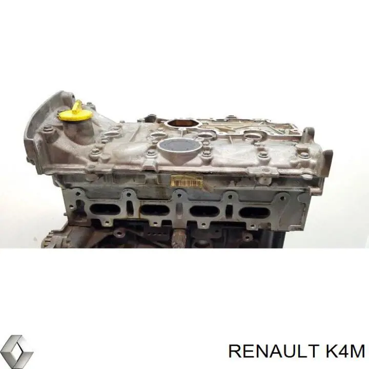 Двигатель в сборе Renault (RVI) K4M