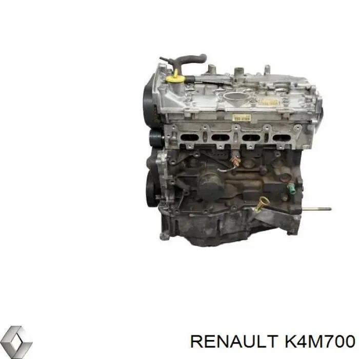 K4M700 Renault (RVI) motor montado