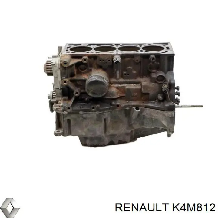 K4M812 Renault (RVI) Мотор в сборе