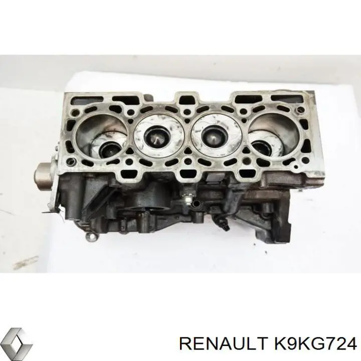 Двигатель в сборе на Renault Scenic II 