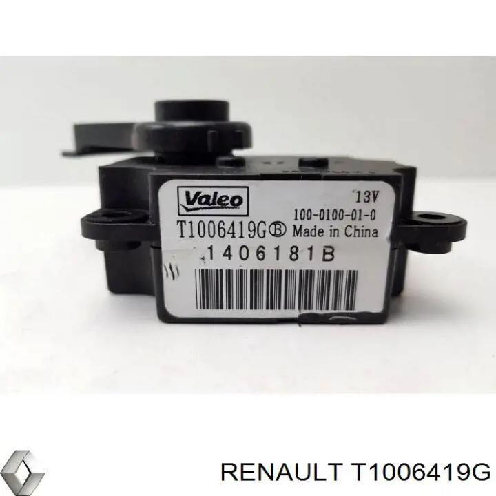 T1006419G Renault (RVI) 