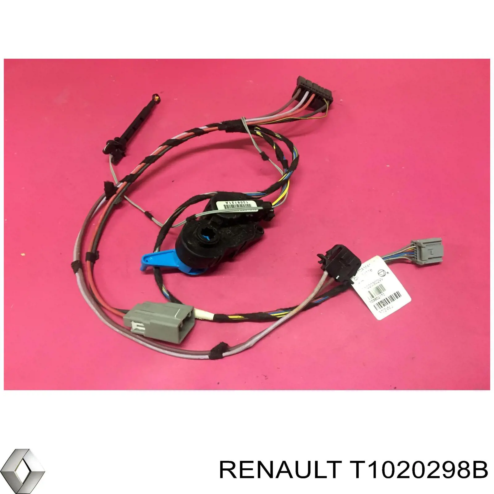  T1020298B Renault (RVI)