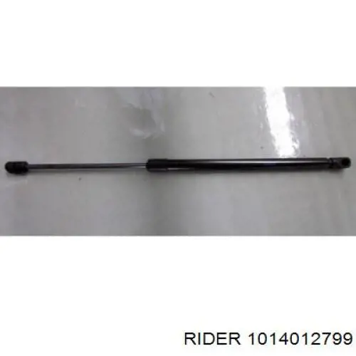 1014012799 Rider Амортизаторы задние