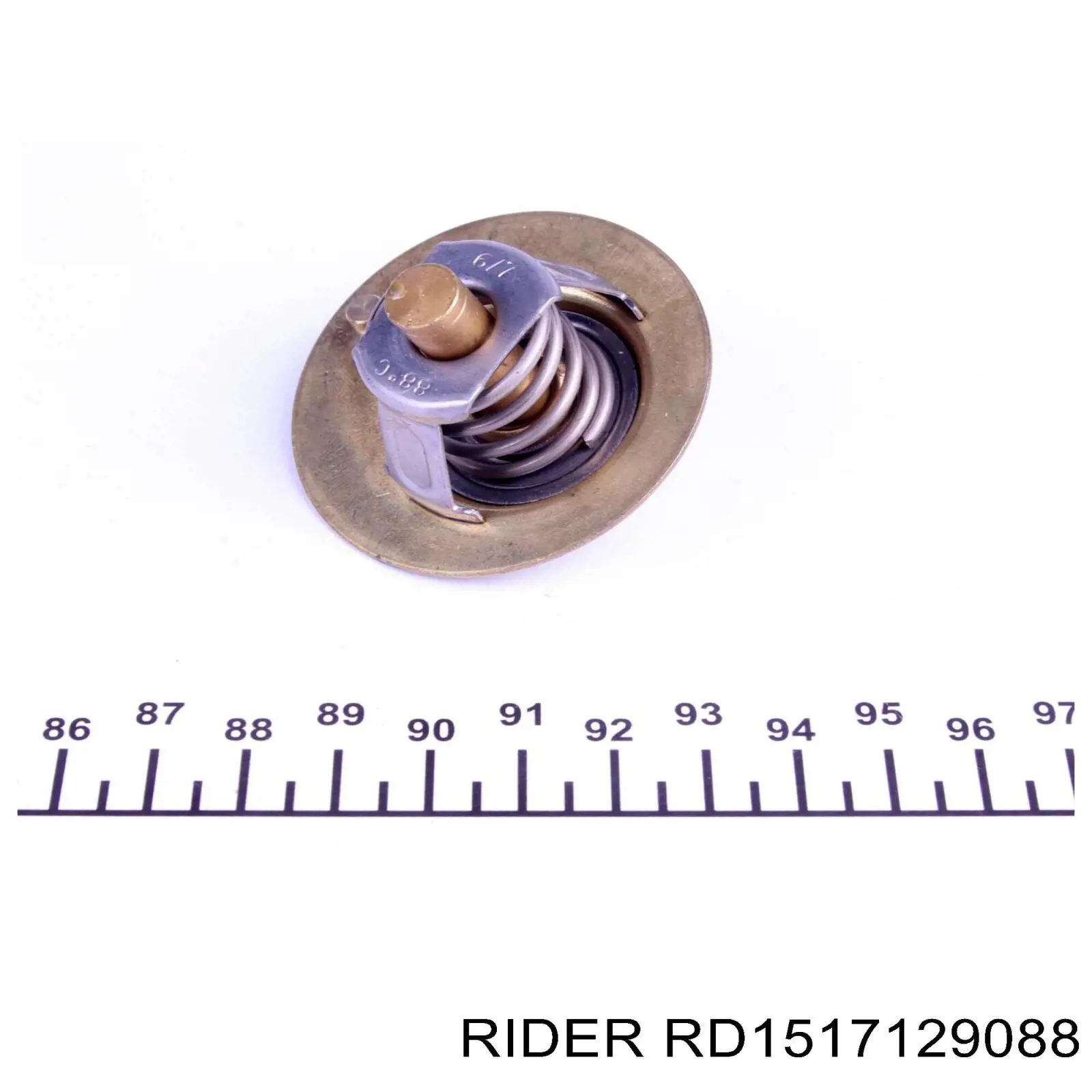 Термостат RD1517129088 Rider