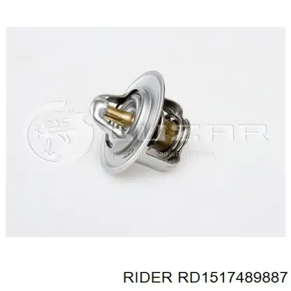 Термостат RD1517489887 Rider