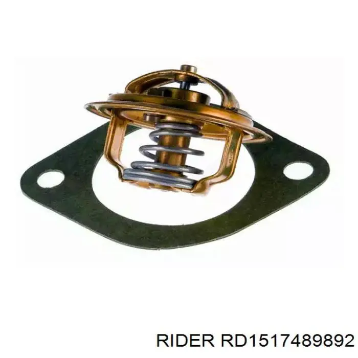 Термостат RD1517489892 Rider