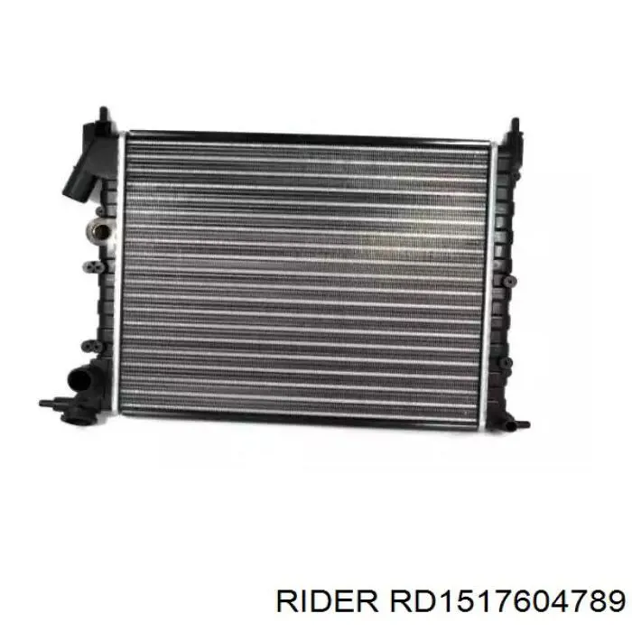 Термостат RD1517604789 Rider