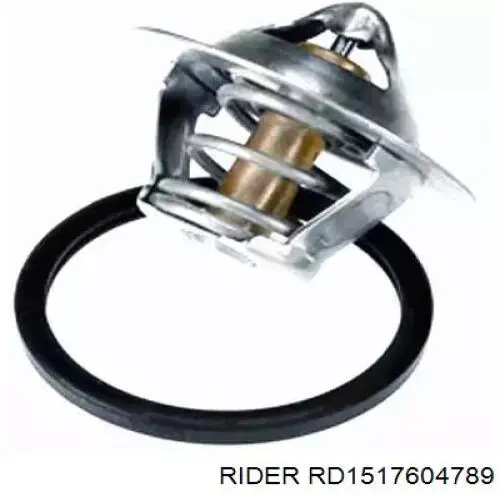 RD1517604789 Rider