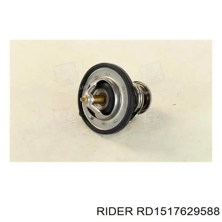 Термостат RD1517629588 Rider