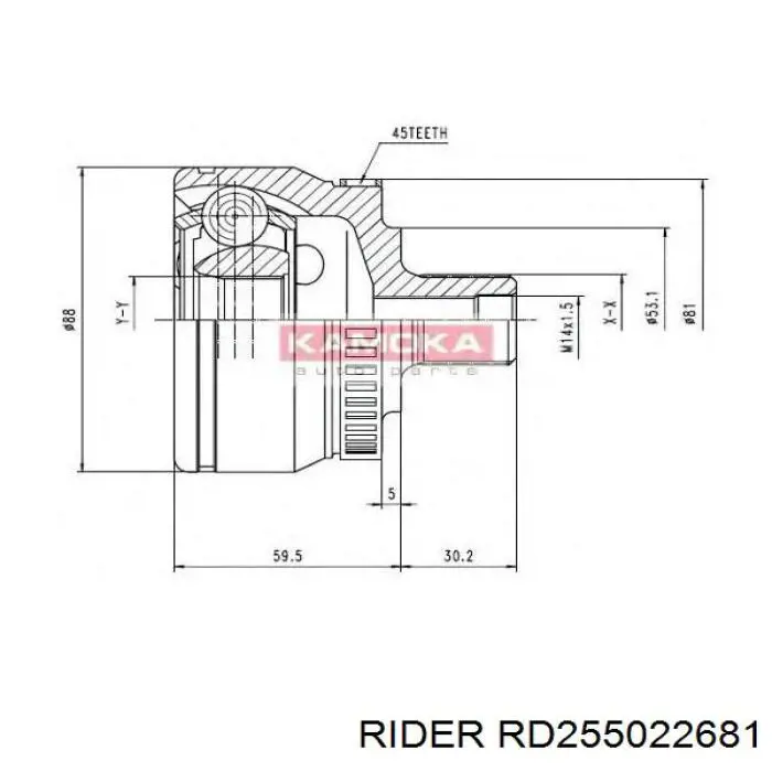 Junta homocinética exterior delantera RD255022681 Rider