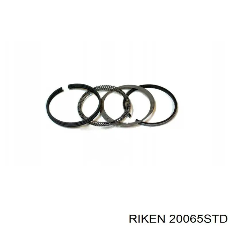 20065STD Riken