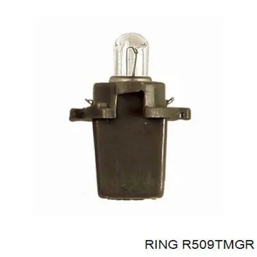 R509TMGR Ring лампочка щитка (панели приборов)