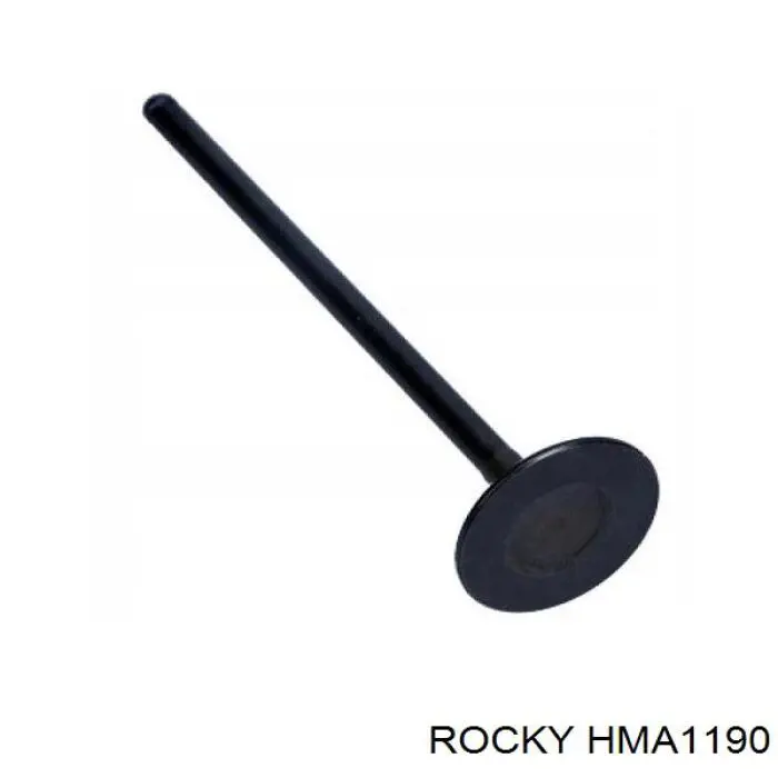 HMA1190 Rocky