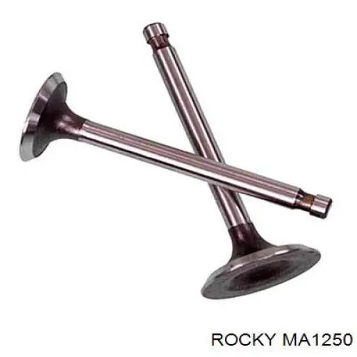 MA1250 Rocky Впускной клапан