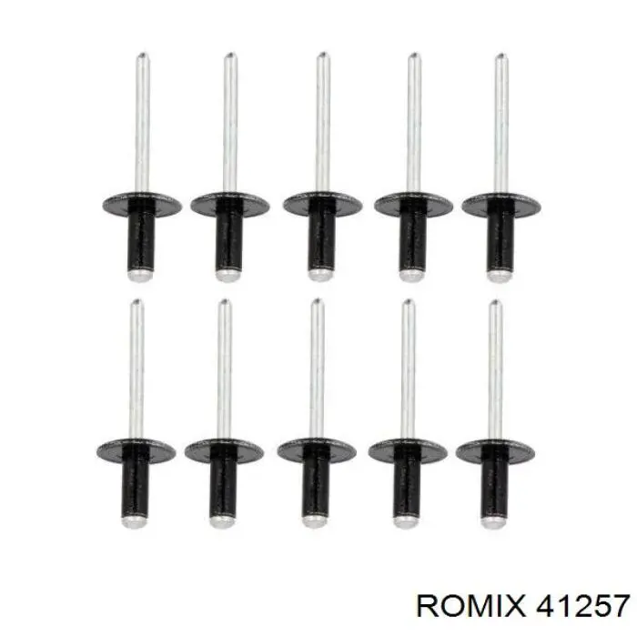  41257 Romix