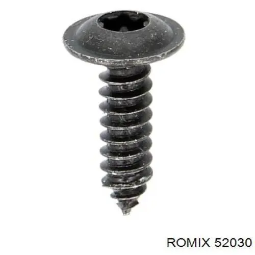  52030 Romix