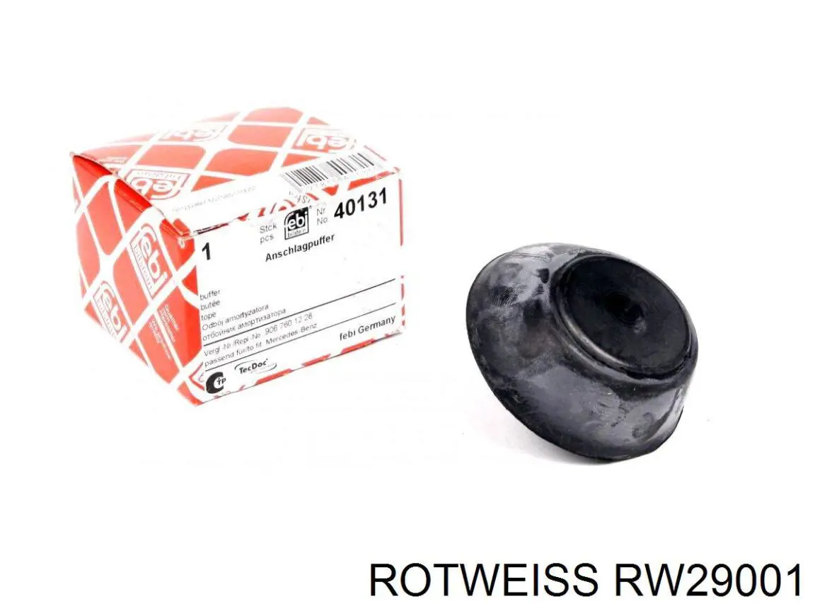 RW29001 Rotweiss cilindro mestre de embraiagem