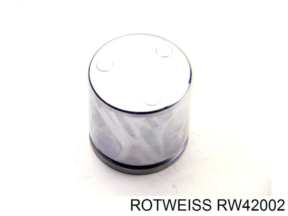 RW42002 Rotweiss Ремкомплект заднего тормозного суппорта