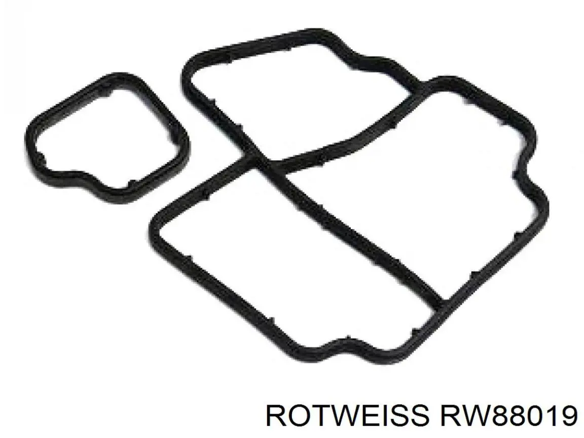 RW88019 Rotweiss