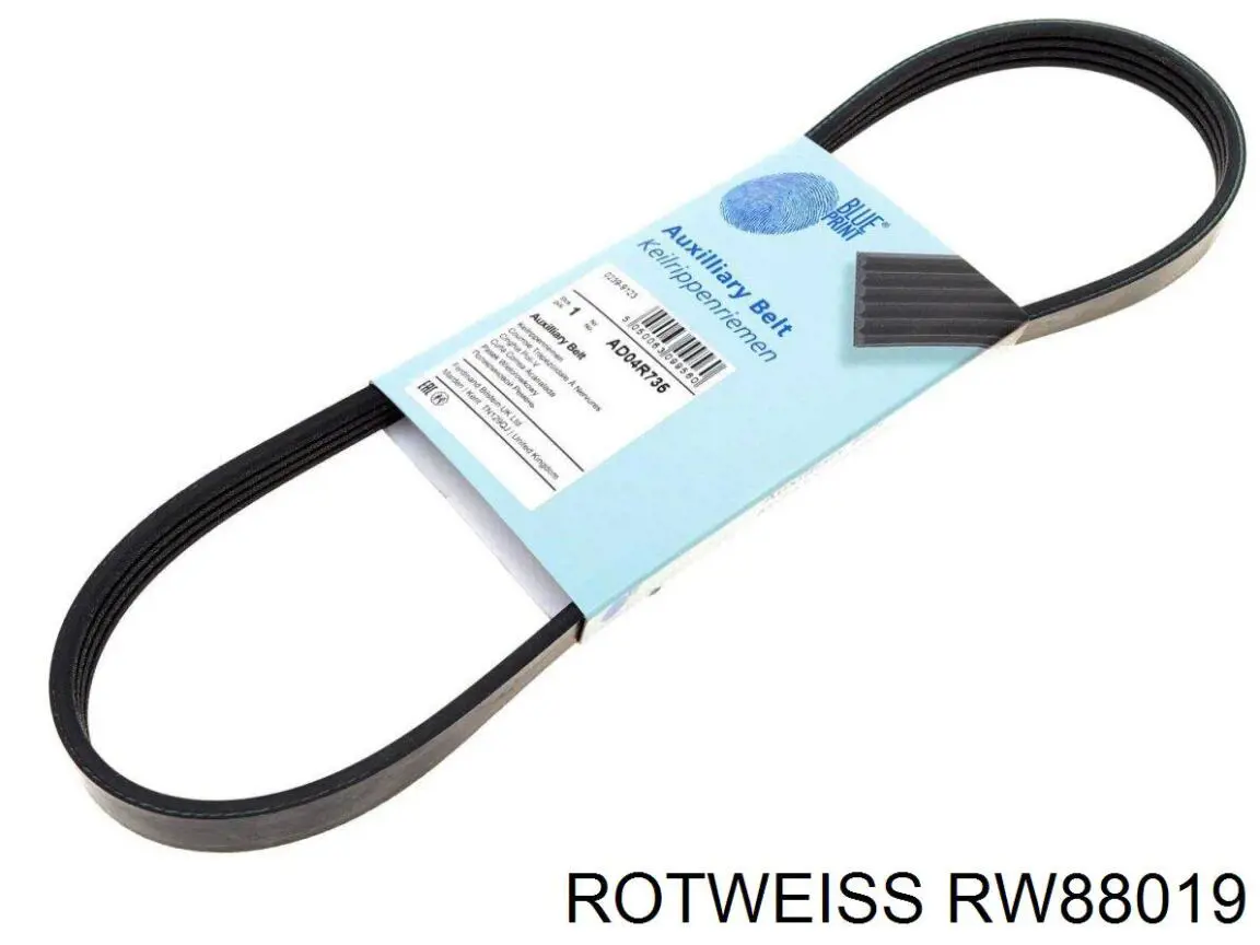 RW88019 Rotweiss Брызговик передний правый