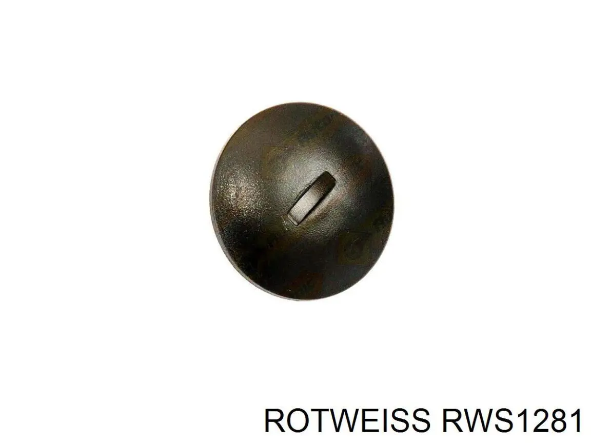 Ручка двери задней (распашной) правая наружная RWS1281 Rotweiss