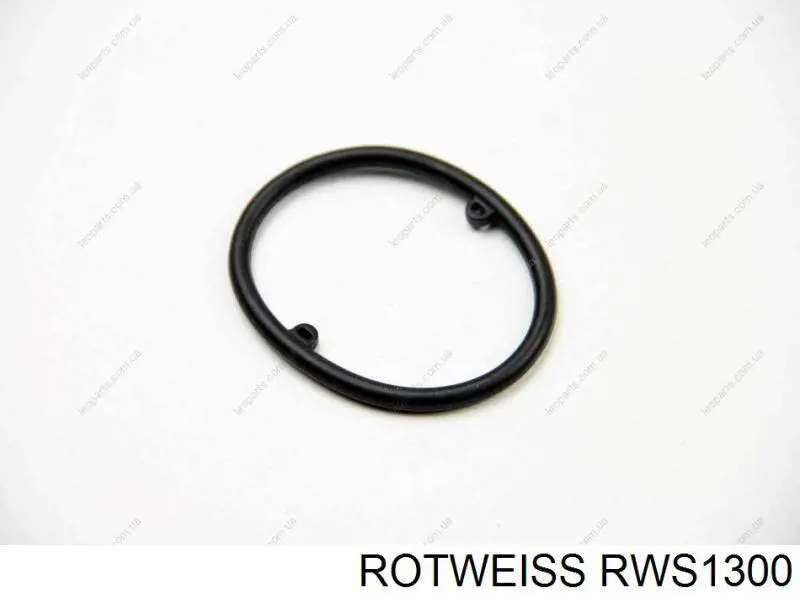 RWS1300 Rotweiss Прокладка радиатора масляного