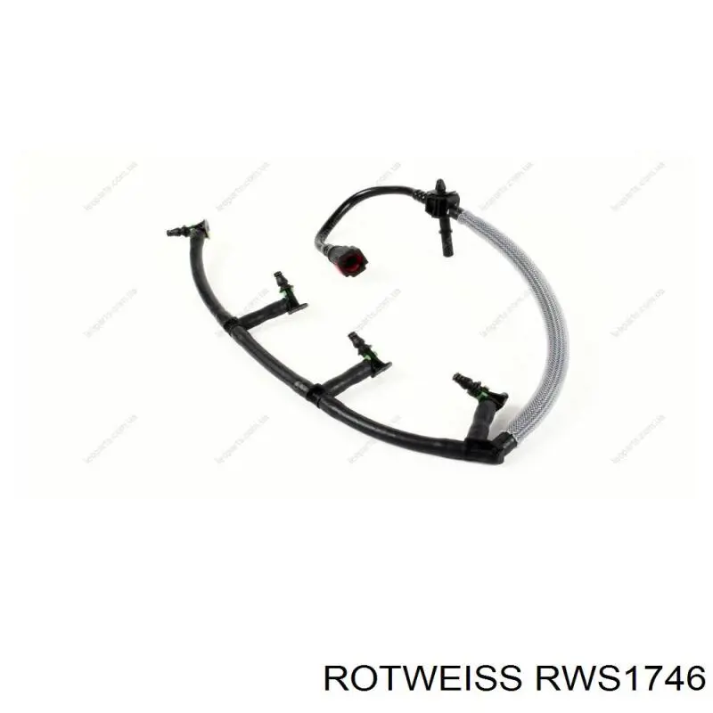 RWS1746 Rotweiss 