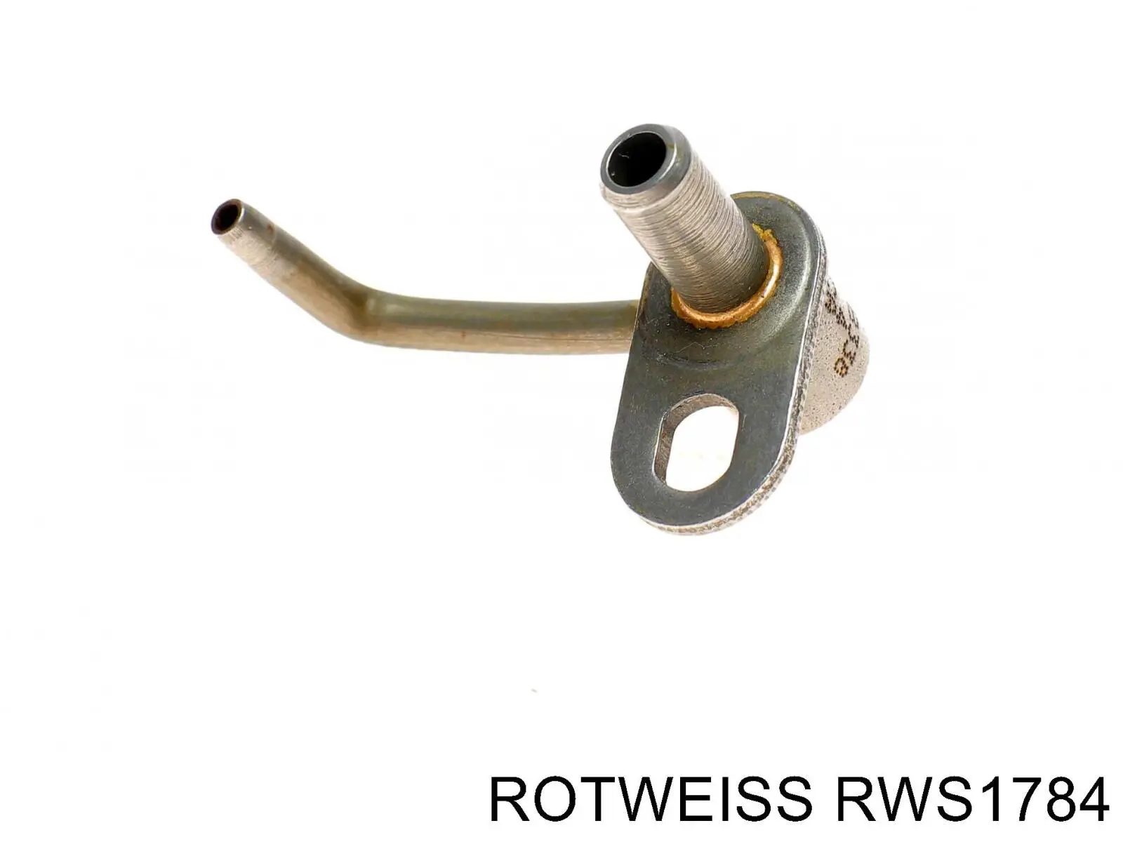 RWS1784 Rotweiss 