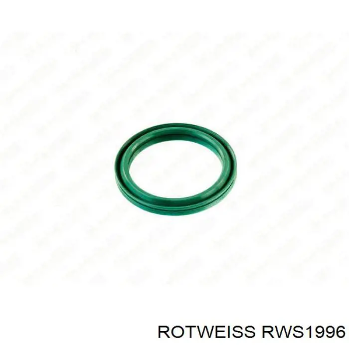 RWS1996 Rotweiss