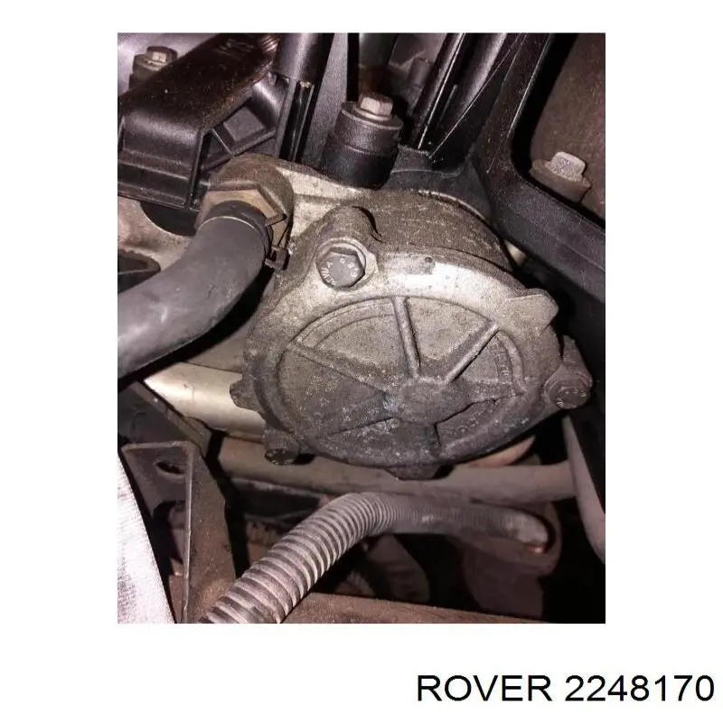  2248170 Rover