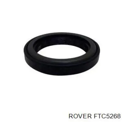  FTC5268 Rover